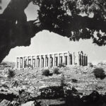 Ο Ναός του Επικούρειου Απόλλωνα